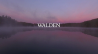 Don Henley to Host “Walden” Documentary Screening in Boston Nov 8th