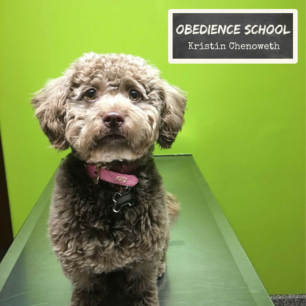 New Song, "Obedience School," is Dedicated to the ASPCA & Available Now!
