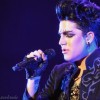 adamlambertlover187 avatar