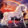 unicornglitter avatar