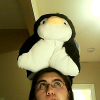 fiarra avatar