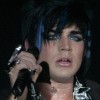 Lina Glambert "Love Adam Lambert" avatar