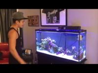 Tour of Austin's Half Studio | Half Aquarium 