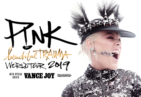 Image result for pink upcoming tour