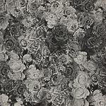 Covers, pt. 1 - Cover Art