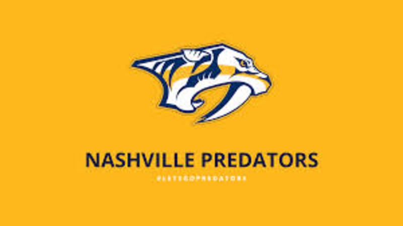 LIZZIE AND BAND PERFORMING LIVE AT THE PREDS VS MAPLE LEAFS NHL GAME ON FEB 3 AT 7PM!